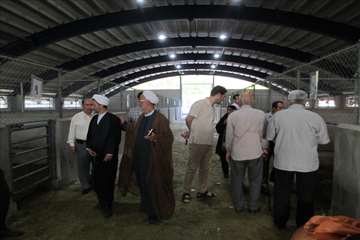 عید سعید قربان-گیلان 98